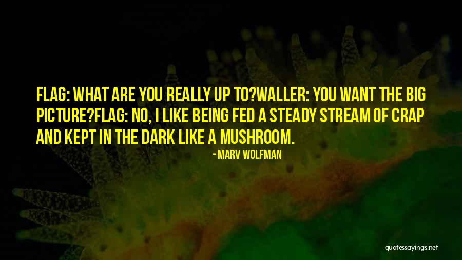 Iakobos Quotes By Marv Wolfman Iakobos Quotes By Marv Wolfman