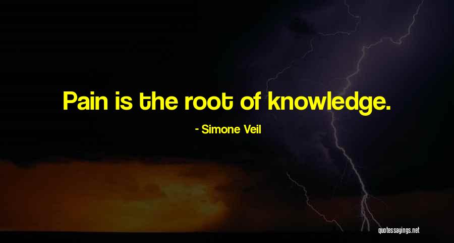Iakovidis Fovamai Quotes By Simone Veil Iakovidis Fovamai Quotes By Simone Veil