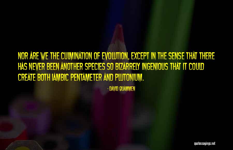 Iambic Quotes By David Quammen Iambic Quotes By David Quammen
