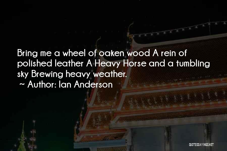 Ian Anderson Quotes 889490