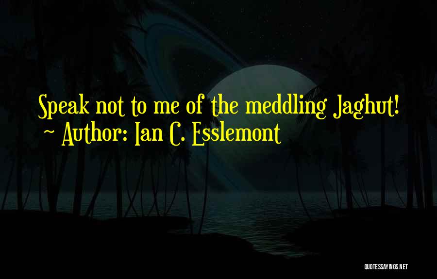 Ian C. Esslemont Quotes 1491934