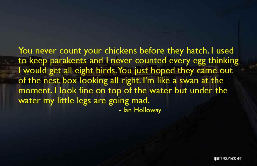 Ian Holloway Quotes 1619400 Ian Holloway Quotes 1619400