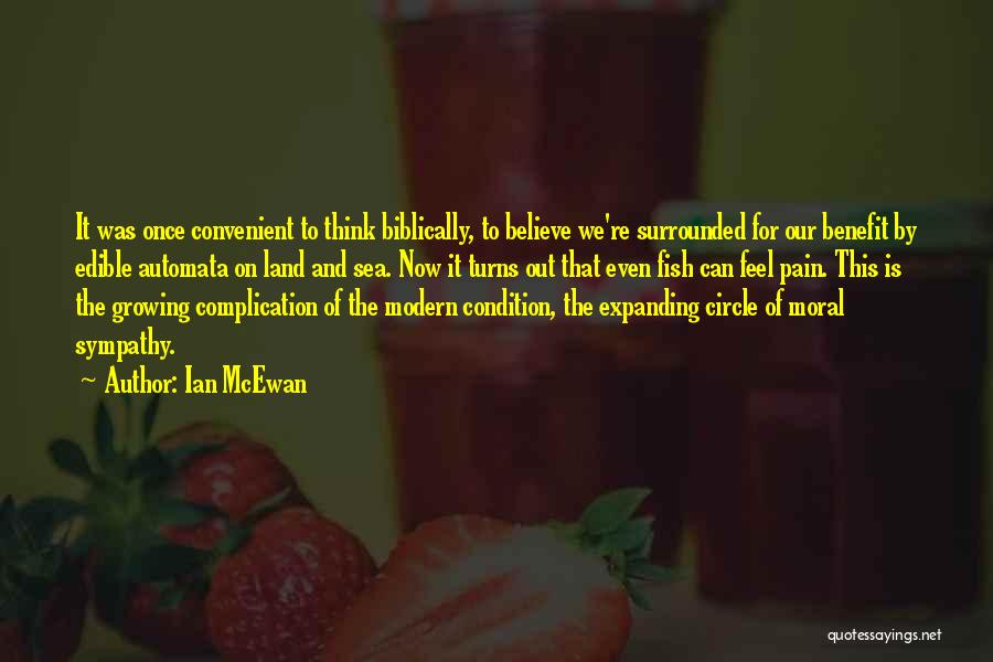 Ian McEwan Quotes 1354202