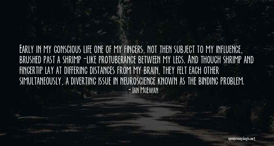 Ian McEwan Quotes 1667871 Ian McEwan Quotes 1667871