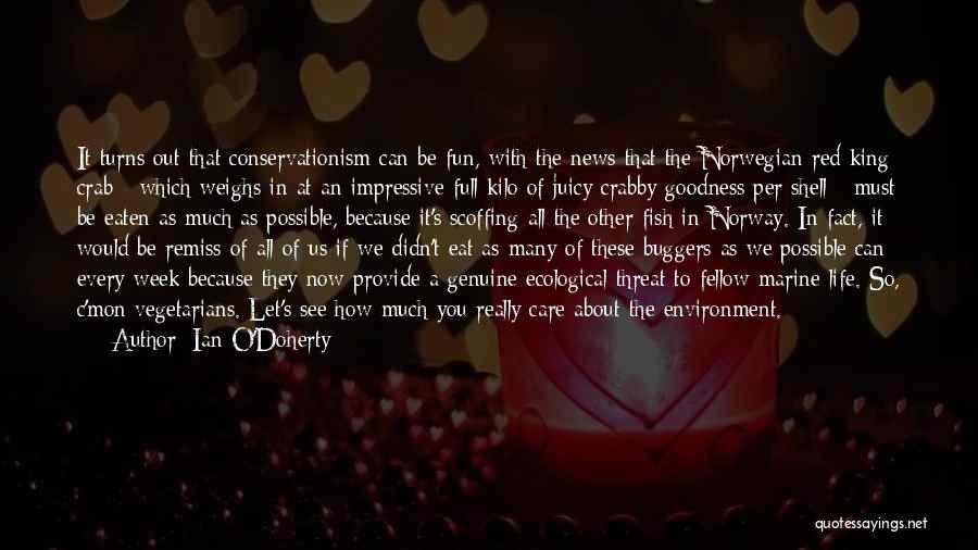 Ian O'Doherty Quotes 2245380