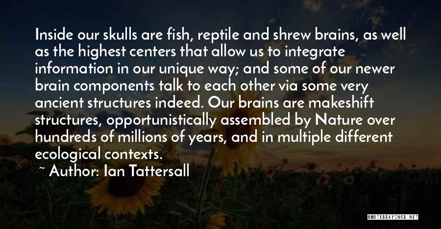 Ian Tattersall Quotes 1149450