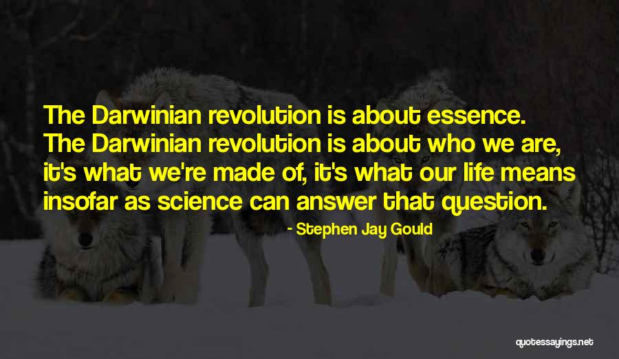 Iancu Laura Quotes By Stephen Jay Gould Iancu Laura Quotes By Stephen Jay Gould