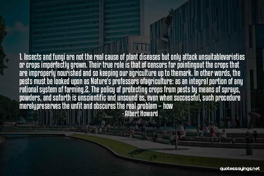 Iandoli Immigration Quotes By Albert Howard Iandoli Immigration Quotes By Albert Howard