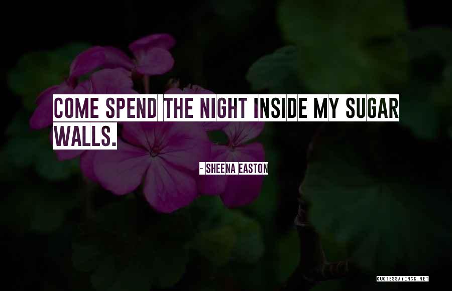 Ianieri Giampapa Quotes By Sheena Easton