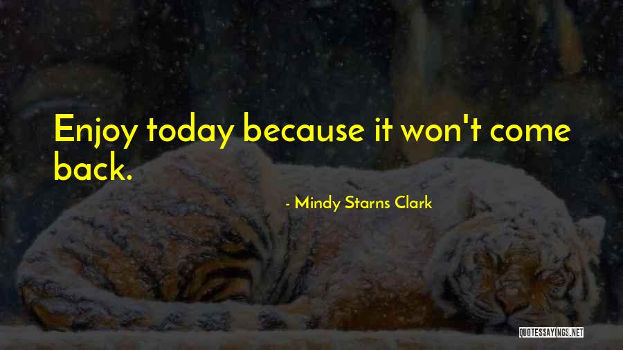 Iannarelli Quotes By Mindy Starns Clark Iannarelli Quotes By Mindy Starns Clark