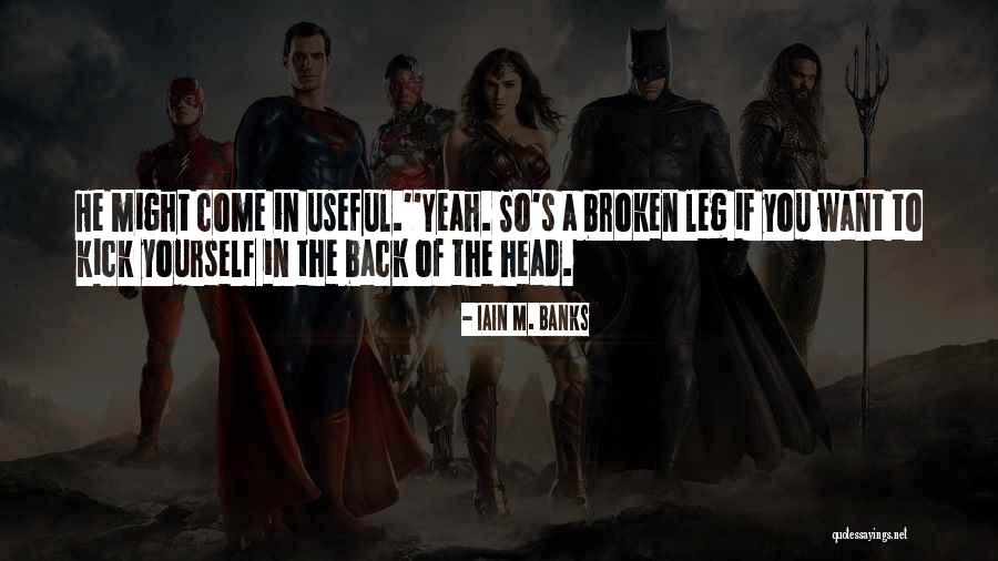 Iannotti Bros Quotes By Iain M. Banks Iannotti Bros Quotes By Iain M. Banks