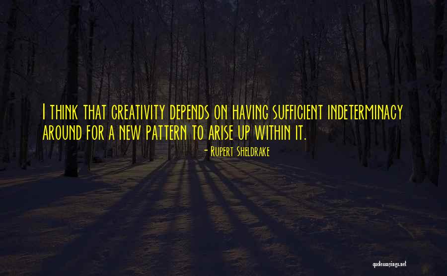 Ianovici Vasile Quotes By Rupert Sheldrake Ianovici Vasile Quotes By Rupert Sheldrake