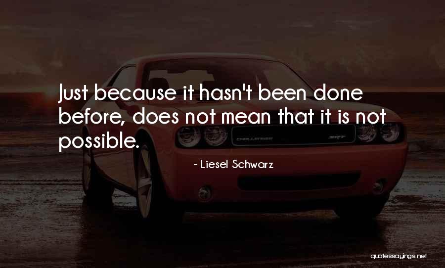 Iapmei Quotes By Liesel Schwarz Iapmei Quotes By Liesel Schwarz