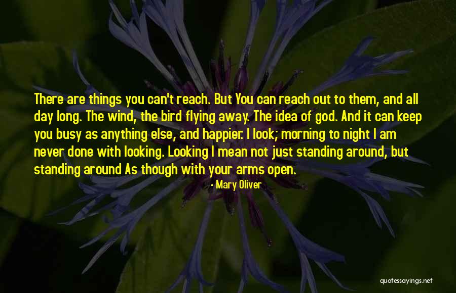 Ibert Baby Quotes By Mary Oliver Ibert Baby Quotes By Mary Oliver