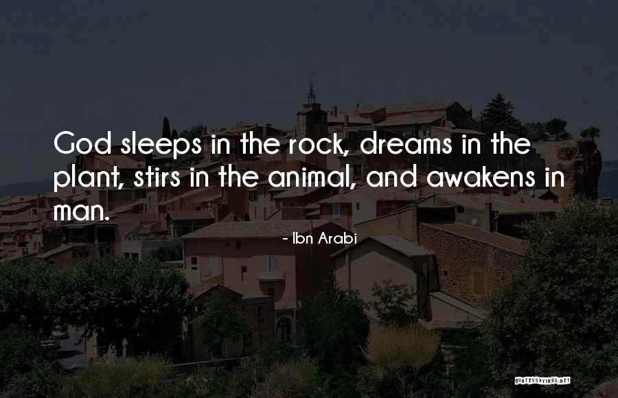 Ibn Arabi Quotes 955613