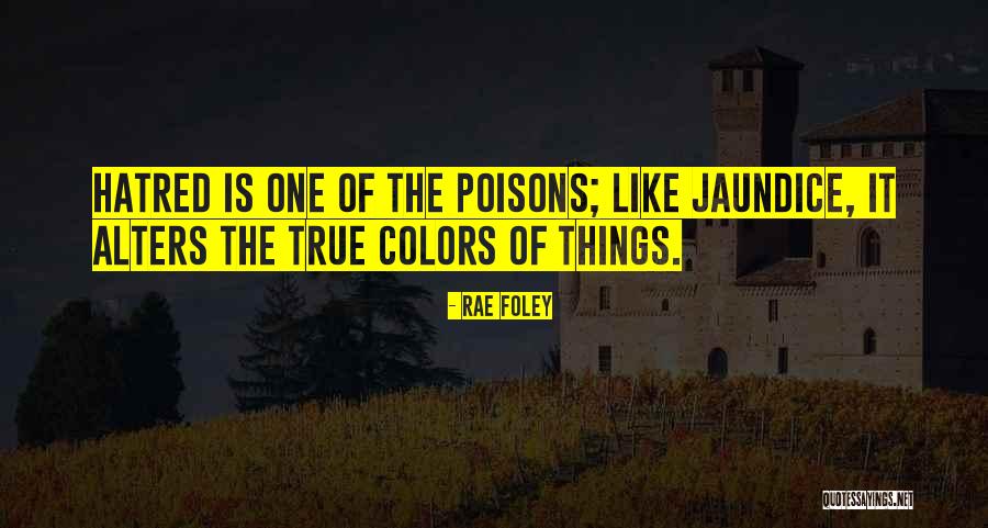 Iboss Quotes By Rae Foley Iboss Quotes By Rae Foley
