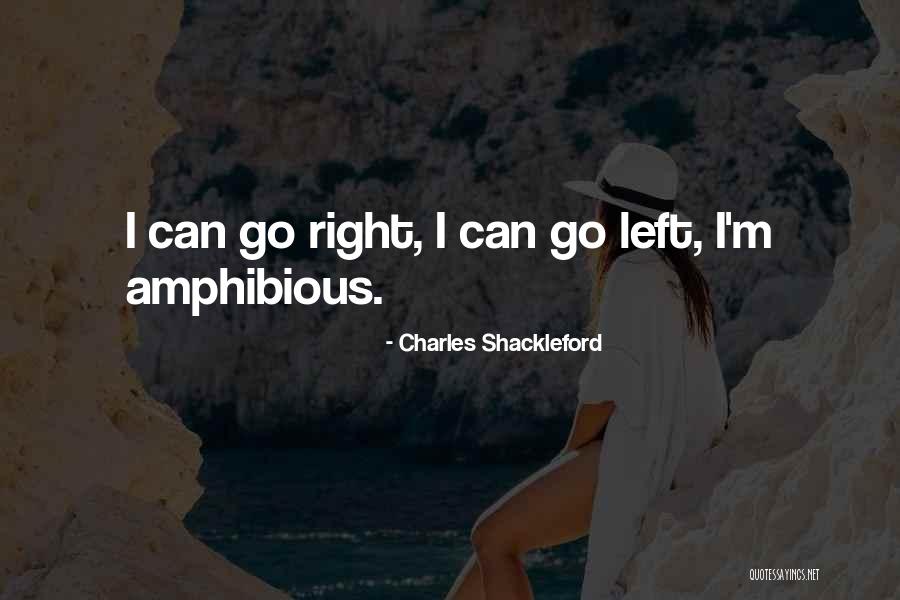 Ibrahim Al Faki Quotes By Charles Shackleford Ibrahim Al Faki Quotes By Charles Shackleford