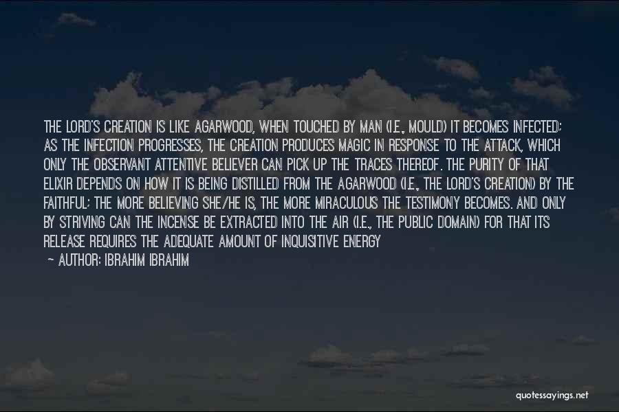 Ibrahim Ibrahim Quotes 1722284