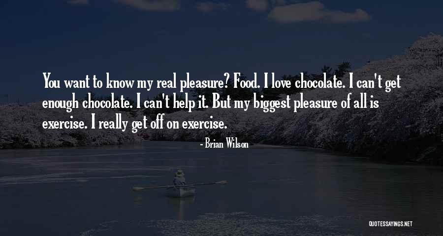 Ibrica Jusic Macka Quotes By Brian Wilson Ibrica Jusic Macka Quotes By Brian Wilson