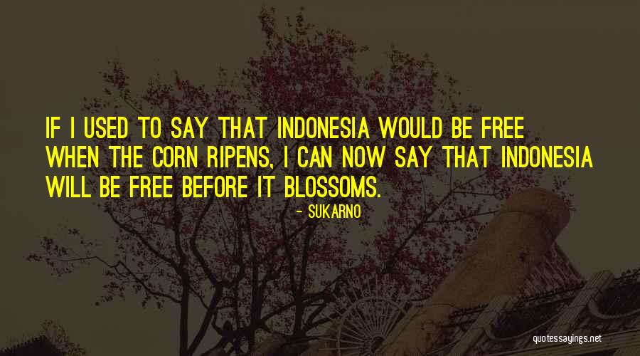 Ibumudagoyanghot Quotes By Sukarno Ibumudagoyanghot Quotes By Sukarno