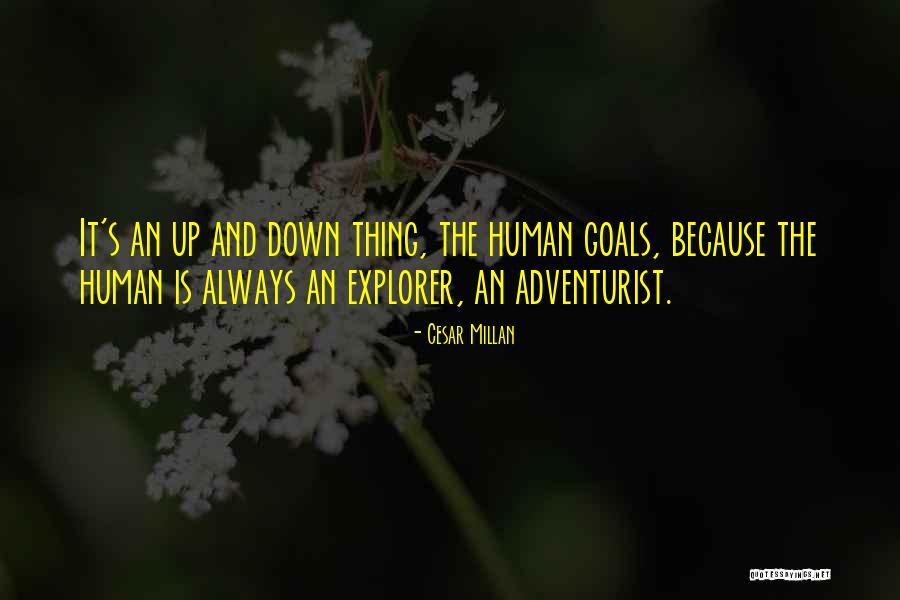 Icahn Automotive Group Quotes By Cesar Millan Icahn Automotive Group Quotes By Cesar Millan