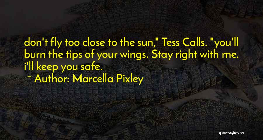 Icarus And The Sun Quotes By Marcella Pixley