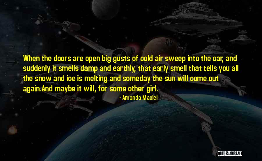 Ice And Snow Quotes By Amanda Maciel Ice And Snow Quotes By Amanda Maciel
