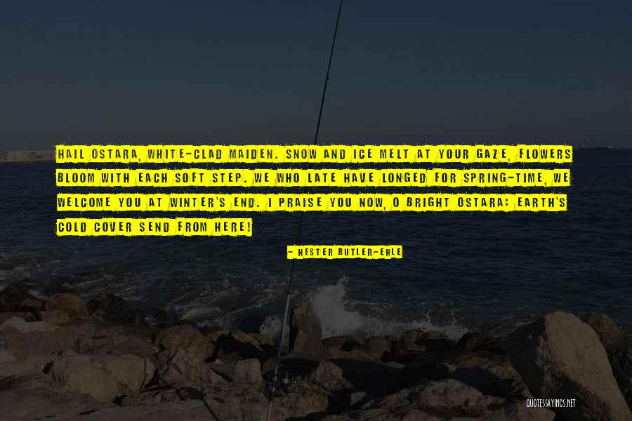 Ice And Snow Quotes By Hester Butler-Ehle Ice And Snow Quotes By Hester Butler-Ehle
