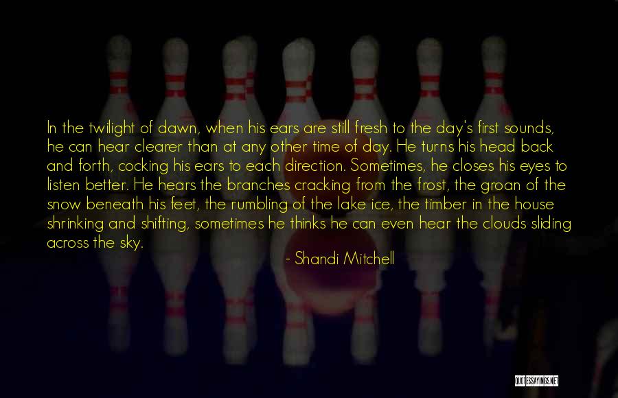 Ice And Snow Quotes By Shandi Mitchell Ice And Snow Quotes By Shandi Mitchell