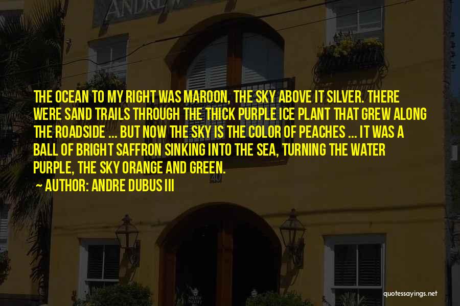 Ice Ball Quotes By Andre Dubus III