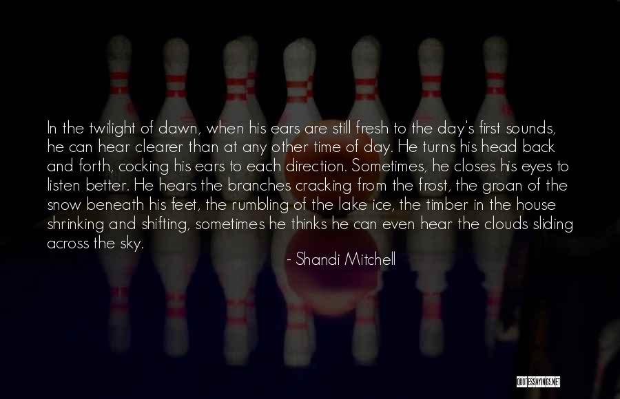 Ice Clouds Quotes By Shandi Mitchell Ice Clouds Quotes By Shandi Mitchell