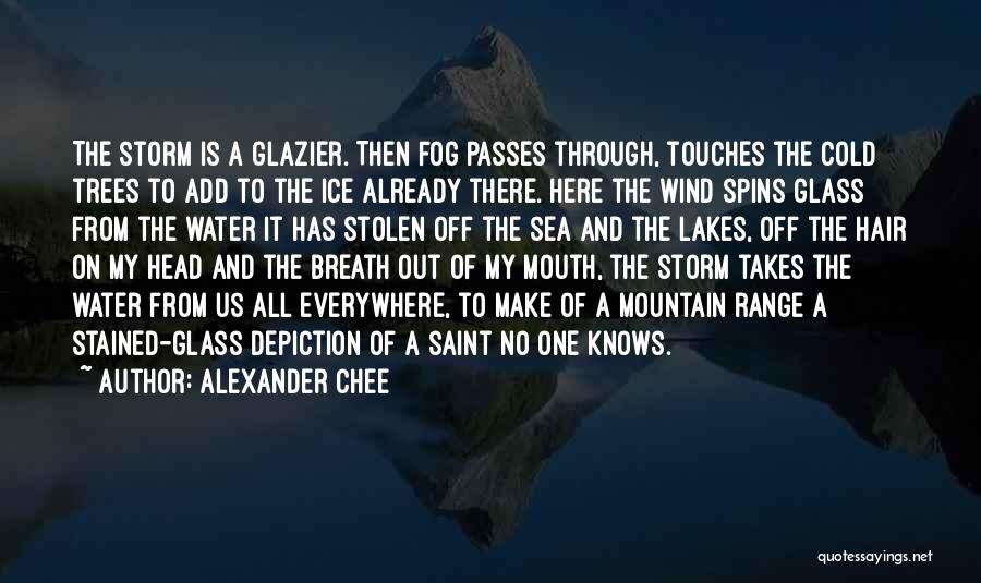 Ice Cold Water Quotes By Alexander Chee