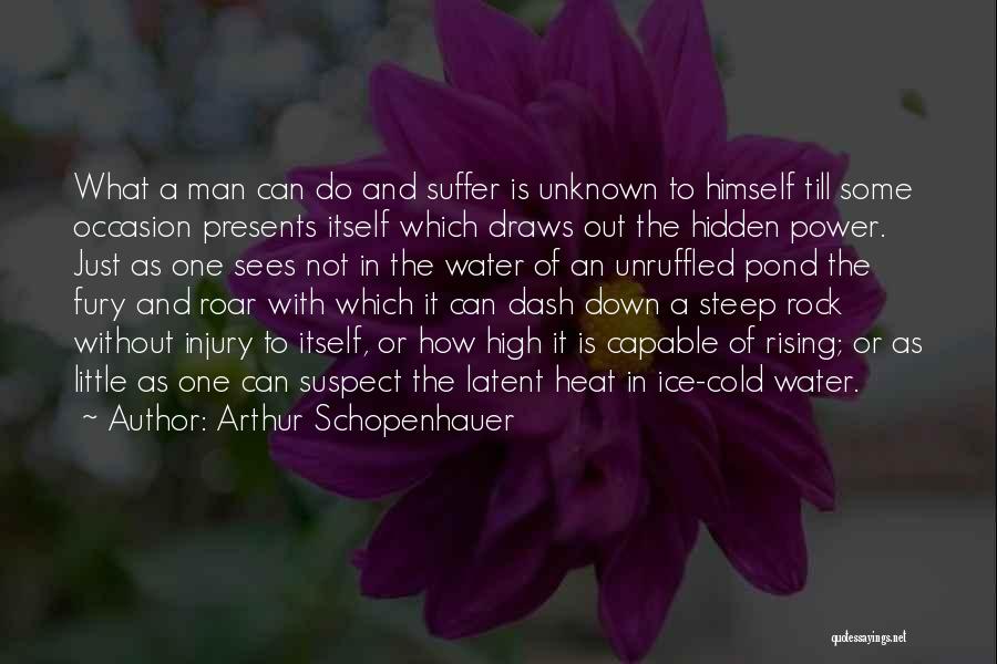 Ice Cold Water Quotes By Arthur Schopenhauer