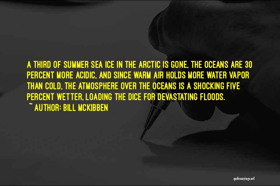 Ice Cold Water Quotes By Bill McKibben