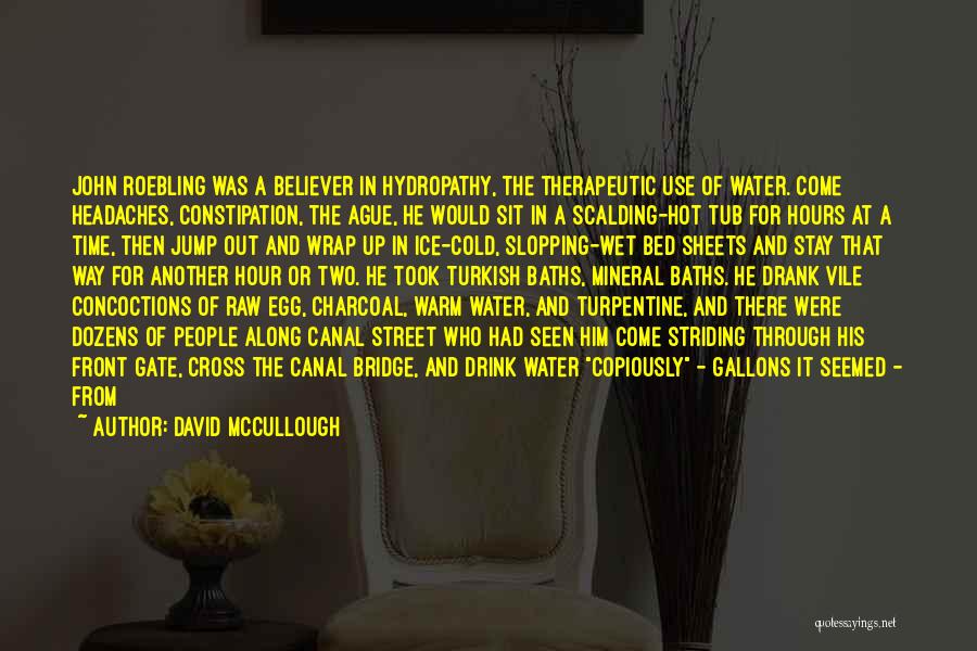 Ice Cold Water Quotes By David McCullough
