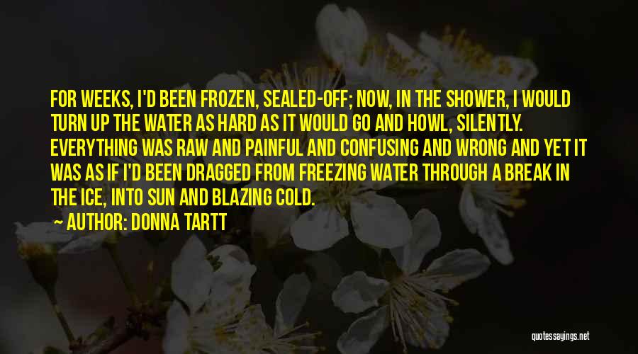 Ice Cold Water Quotes By Donna Tartt