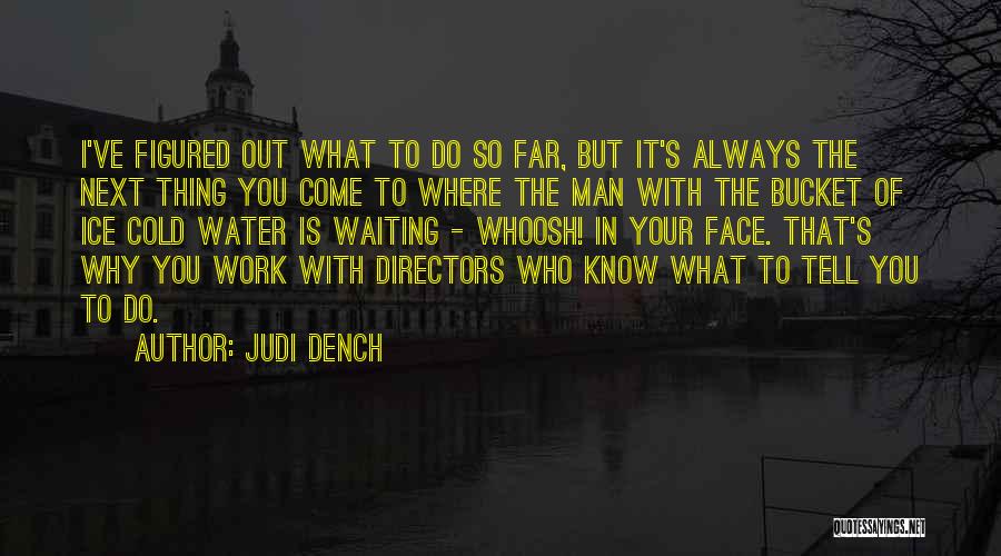 Ice Cold Water Quotes By Judi Dench