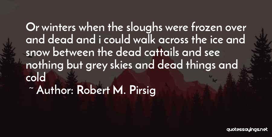 Ice Cold Winter Quotes By Robert M. Pirsig