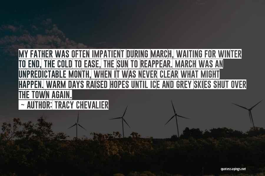 Ice Cold Winter Quotes By Tracy Chevalier