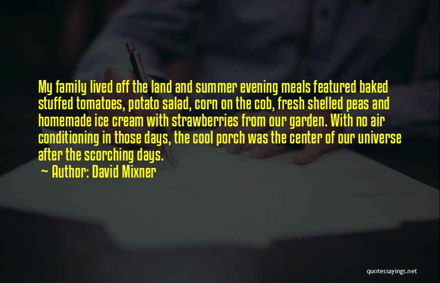 Ice Cream And Summer Quotes By David Mixner