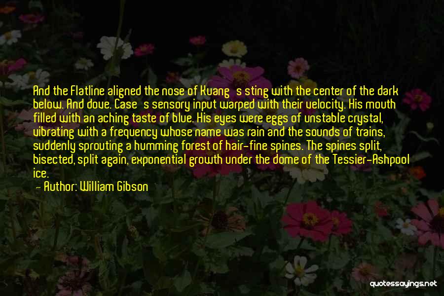 Ice Crystal Quotes By William Gibson