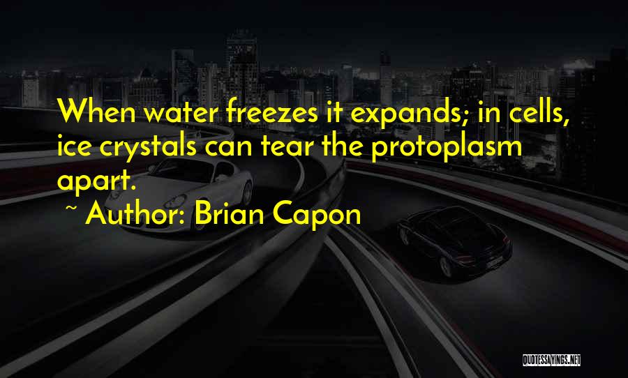 Ice Crystals Quotes By Brian Capon
