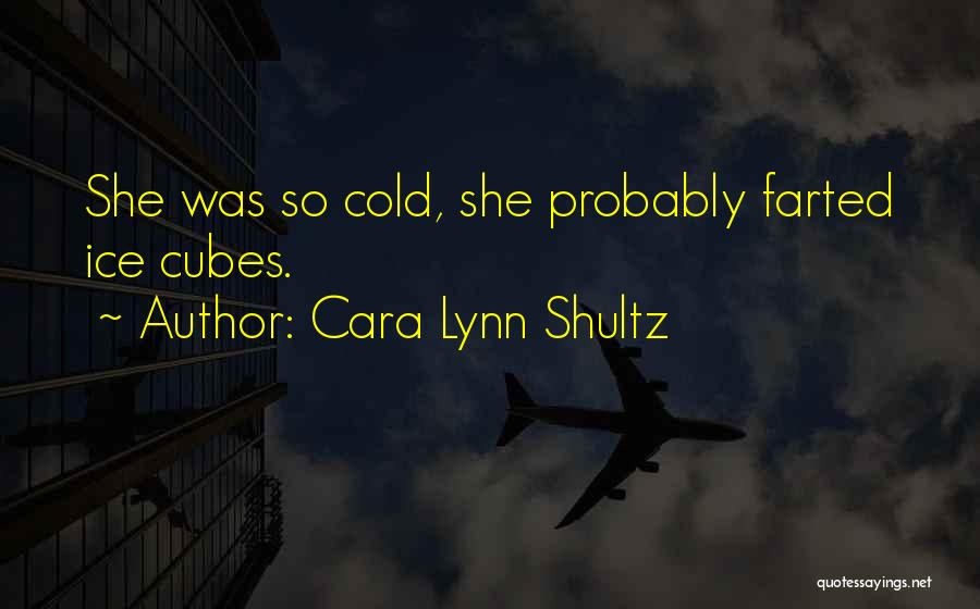 Ice Cubes Quotes By Cara Lynn Shultz