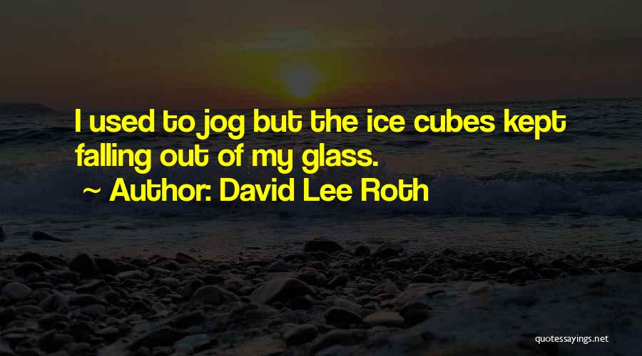 Ice Cubes Quotes By David Lee Roth