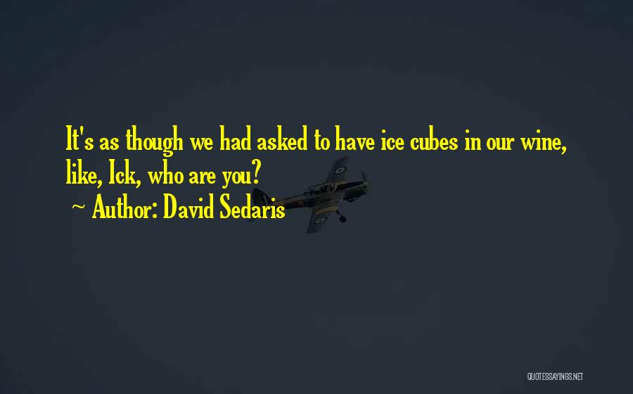 Ice Cubes Quotes By David Sedaris