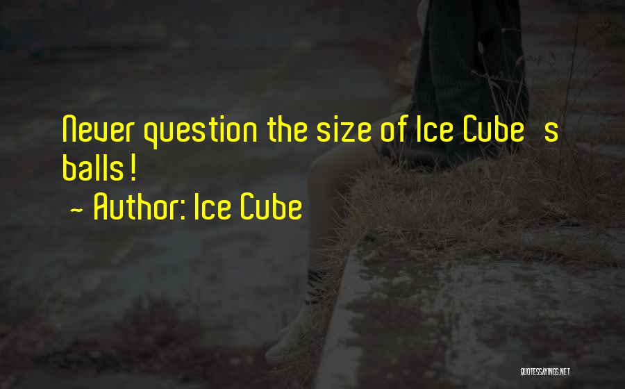 Ice Cubes Quotes By Ice Cube