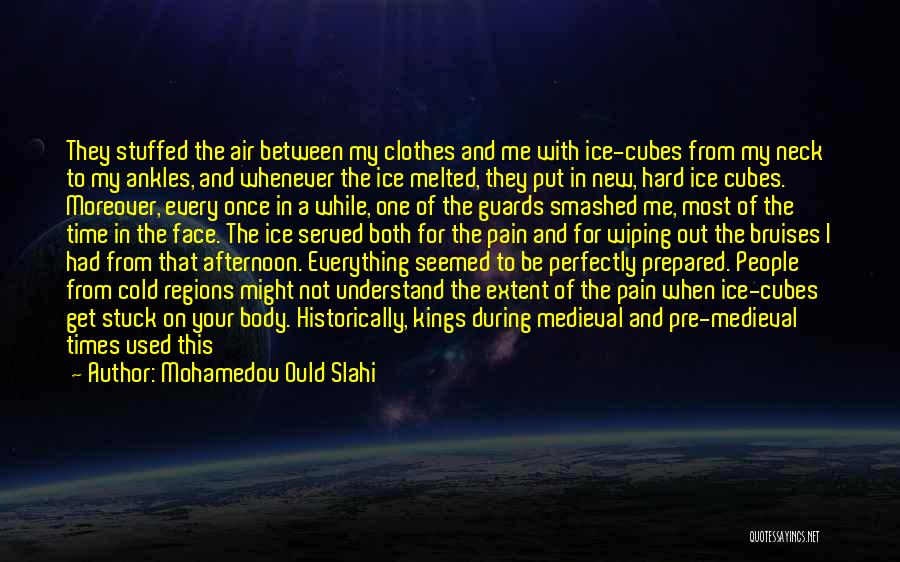 Ice Cubes Quotes By Mohamedou Ould Slahi