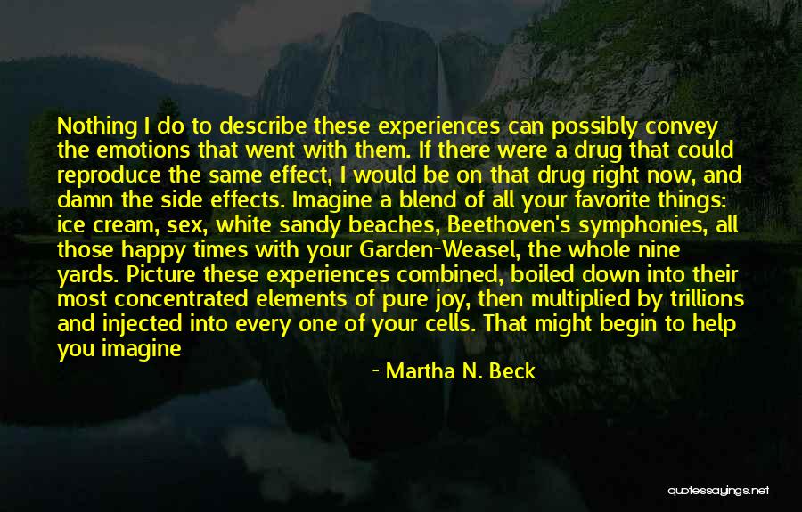 Ice Drug Quotes By Martha N. Beck