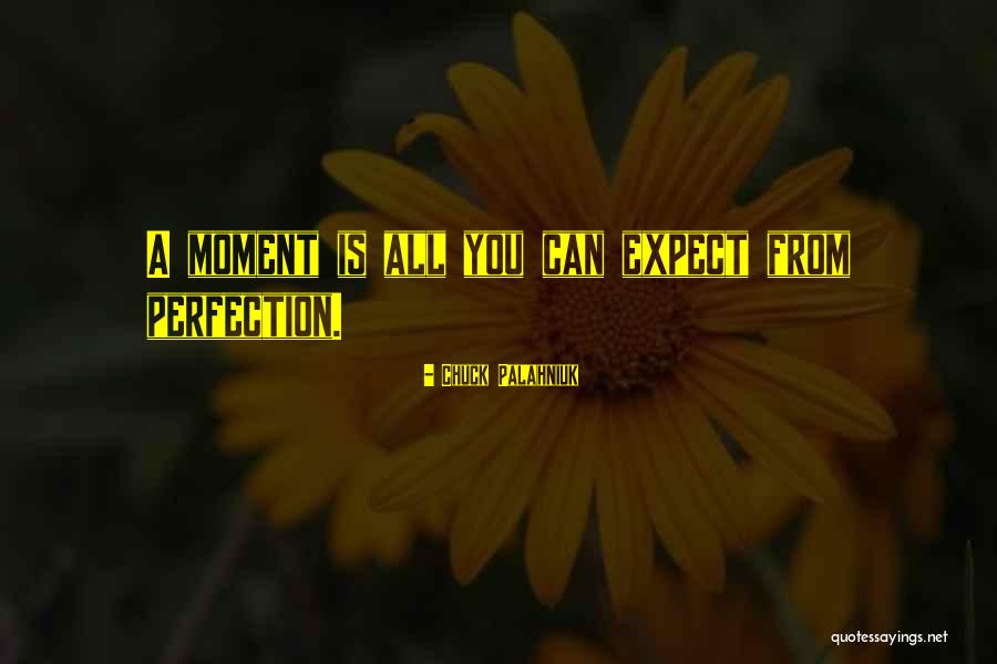 Ice Haven Quotes By Chuck Palahniuk Ice Haven Quotes By Chuck Palahniuk