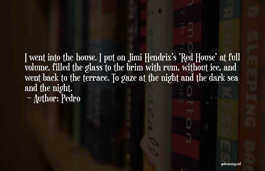 Ice House Quotes By Pedro